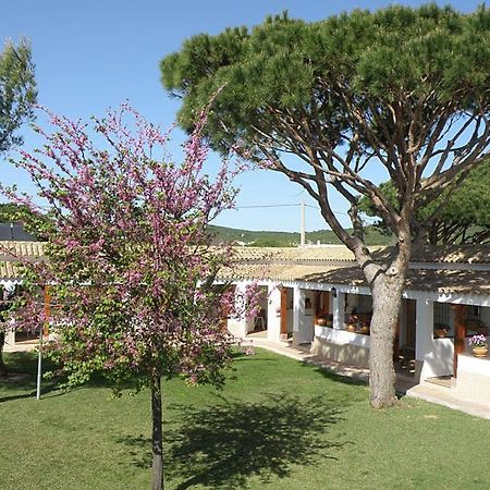 Hostal Las Acacias Los Canos De Meca Buitenkant foto
