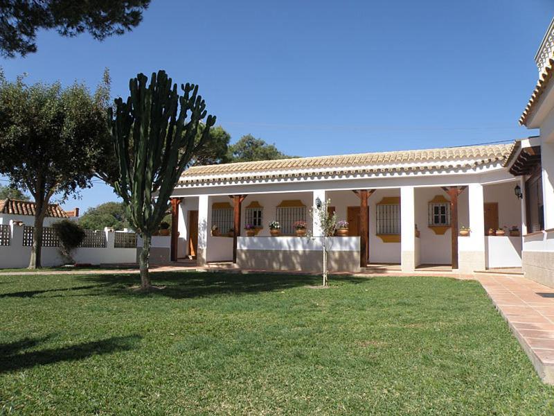 Hostal Las Acacias Los Canos De Meca Buitenkant foto