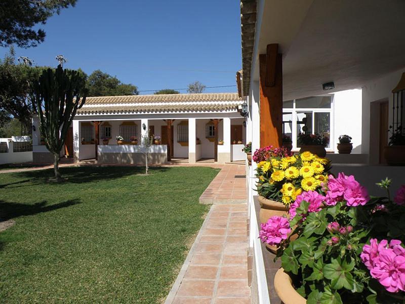 Hostal Las Acacias Los Canos De Meca Buitenkant foto