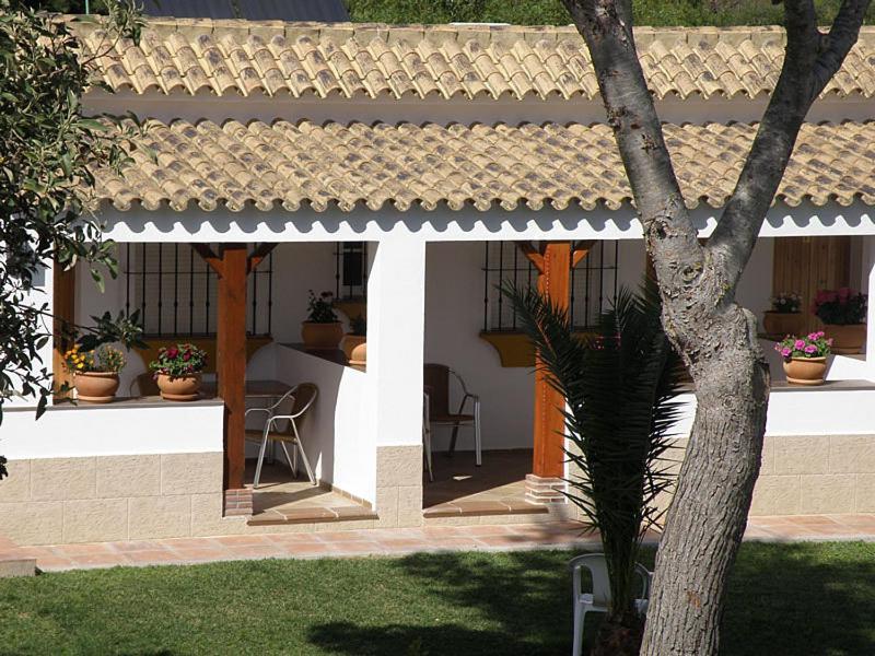 Hostal Las Acacias Los Canos De Meca Buitenkant foto